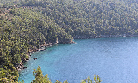 A Bay of Ekincik yacht charter introduces you to Turkey's pine-clad mountains and azure waters